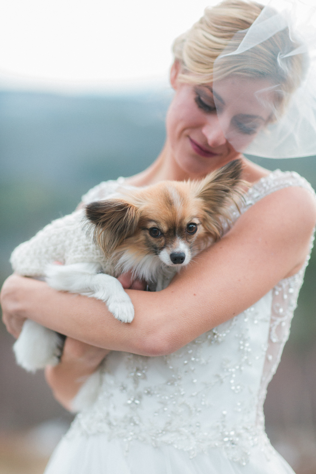 Beautiful Wedding Dog Photo