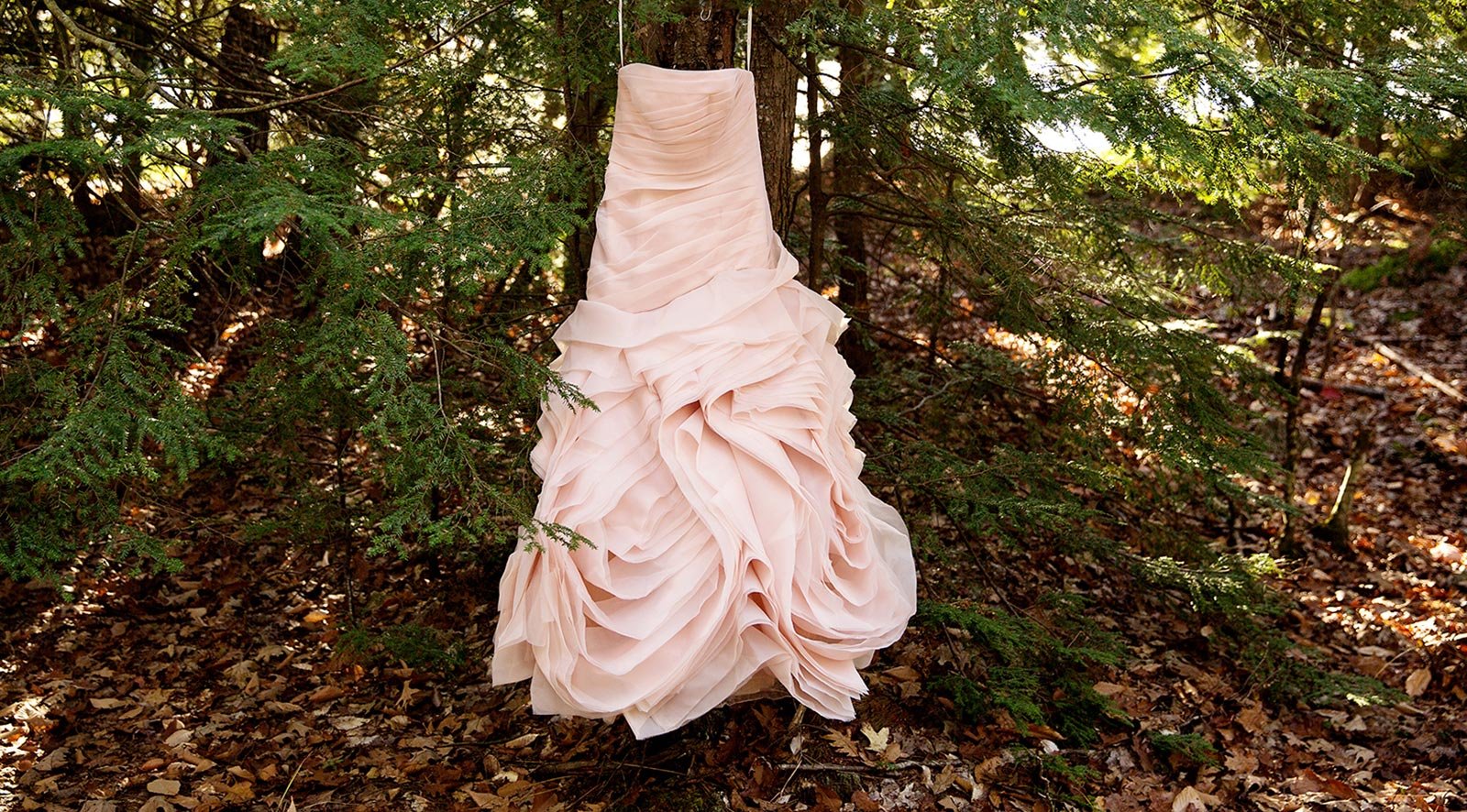 Blush Vera Wang Wedding Dress