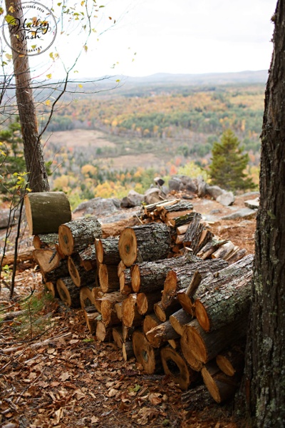 Fall Wedding Venue In New England