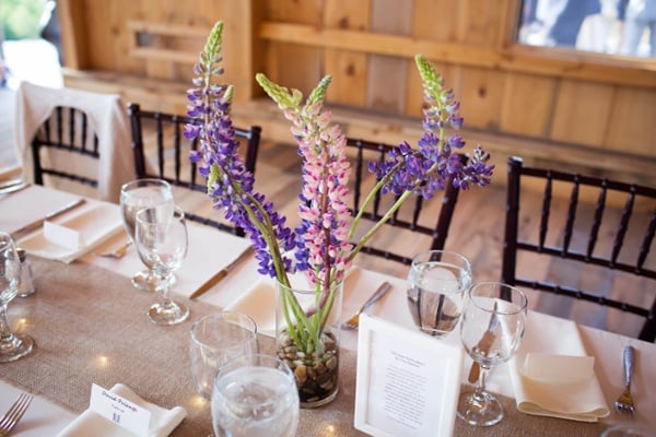 Lupine Table Setting